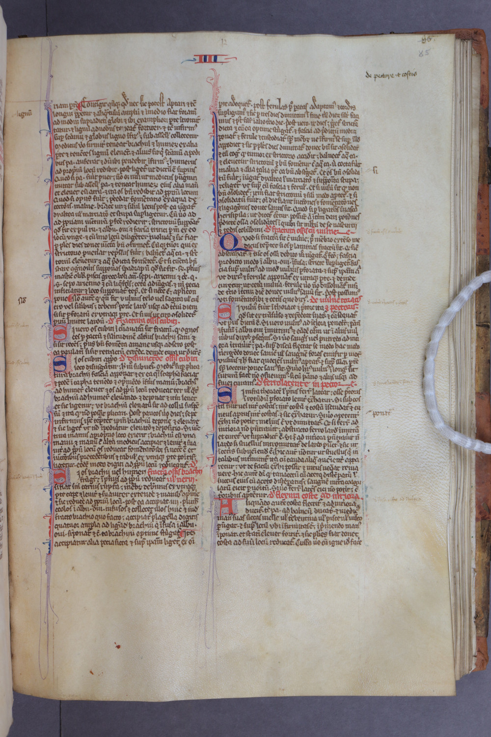 Folio 85 recto
